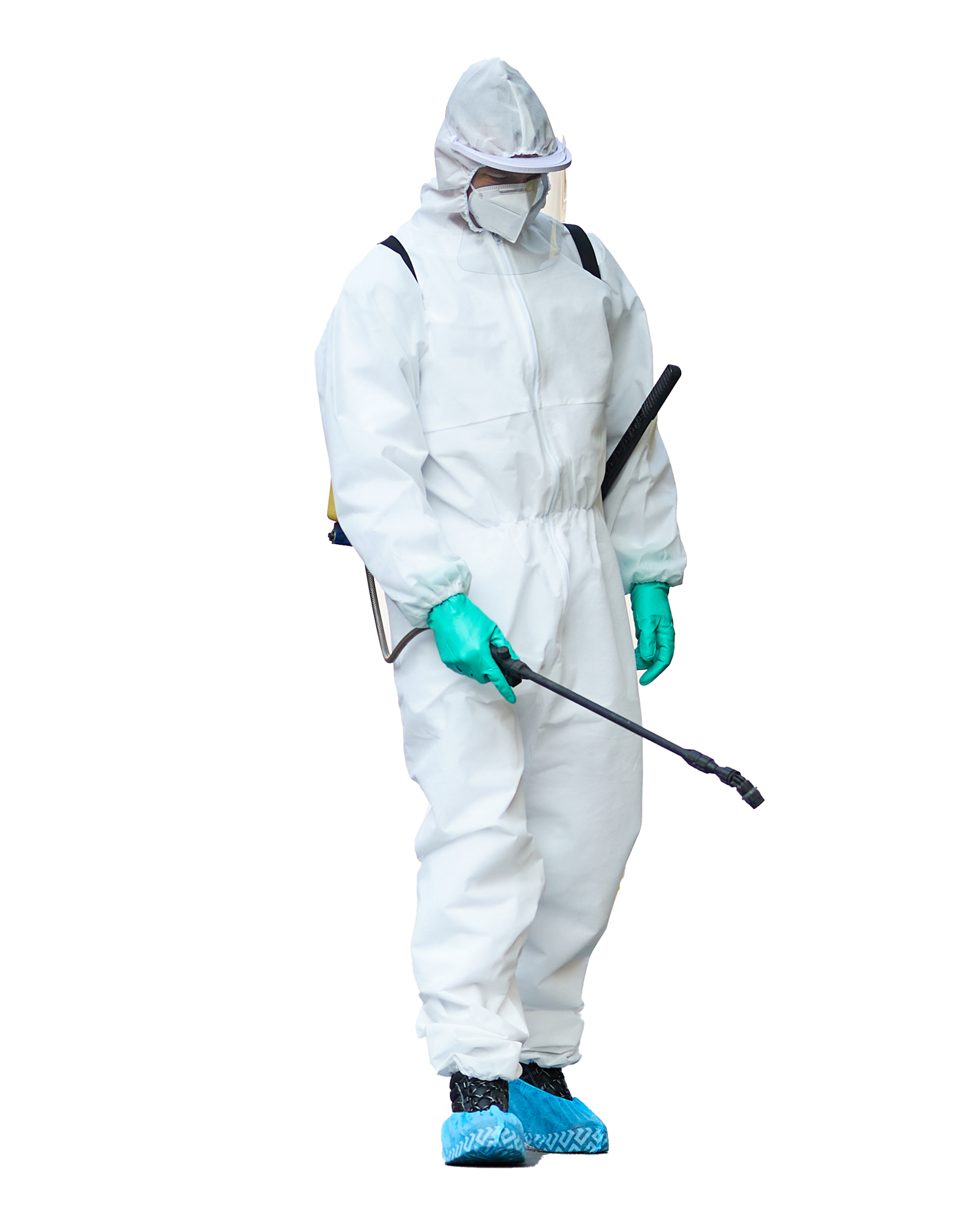 Основное изображение